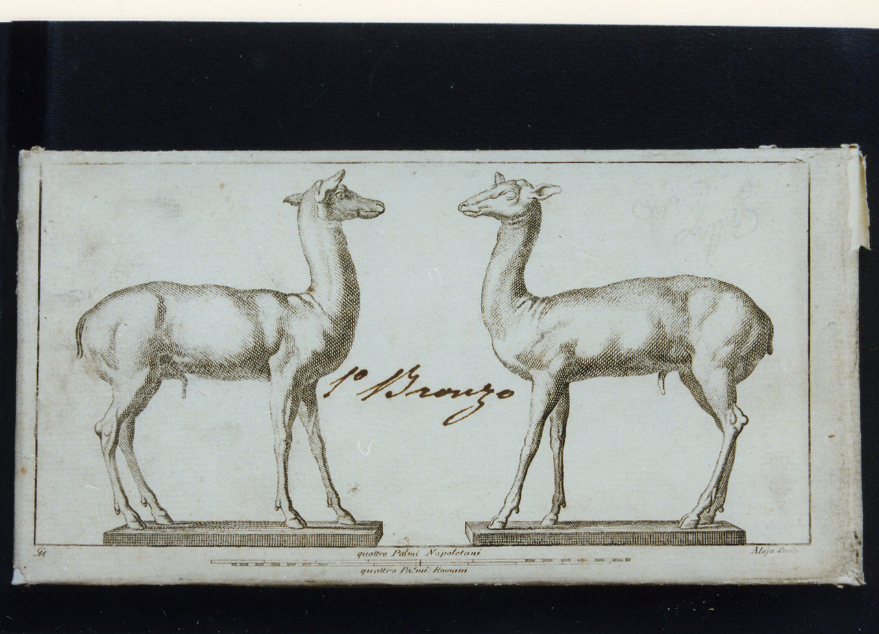 coppia di caprioli in bronzo (stampa controfondata) di Alloja Giuseppe, Morghen Giovanni Elia (sec. XVIII)