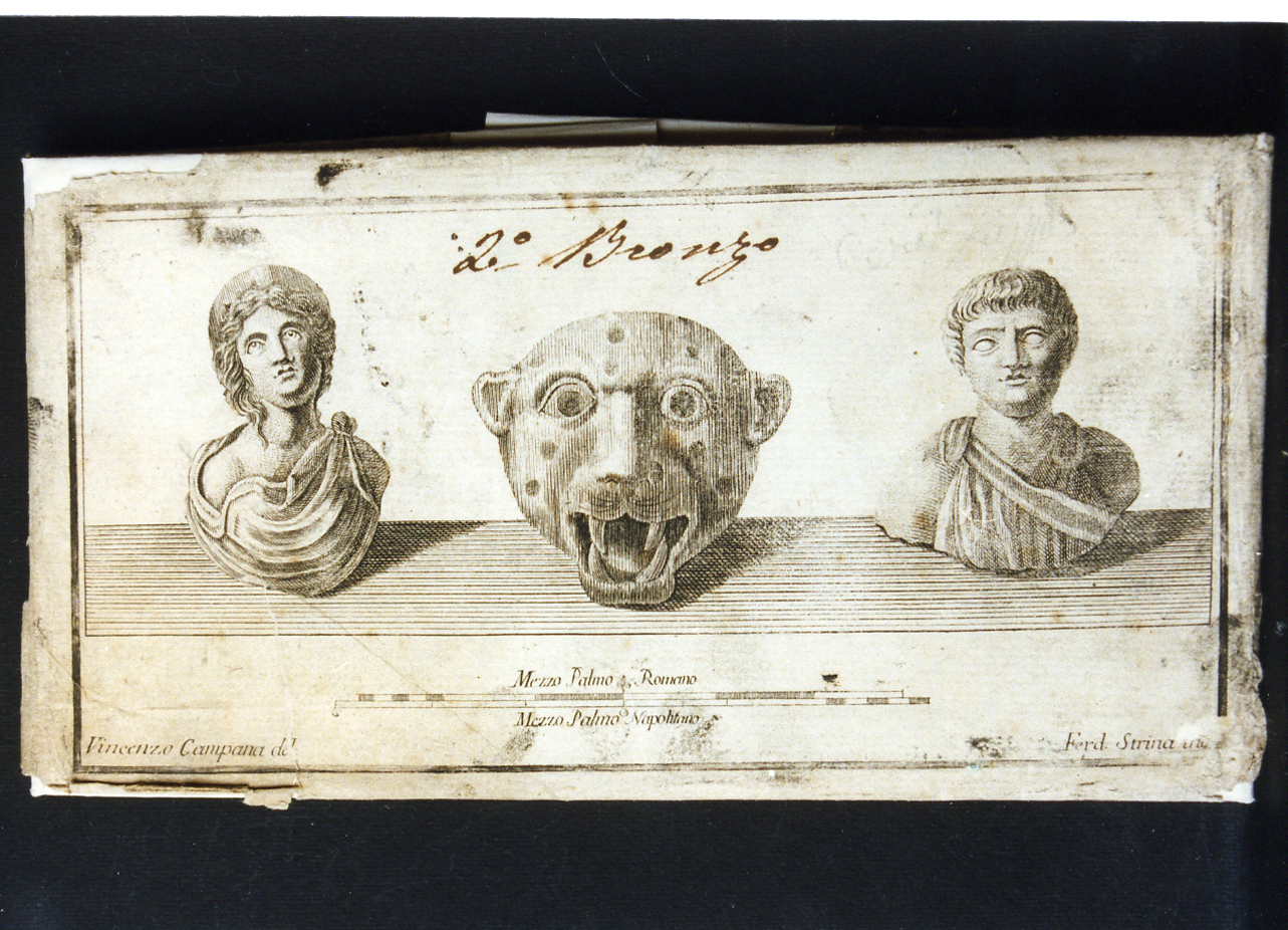 due bustini in bronzo, testa di felino in bronzo (stampa controfondata) di Strina Ferdinando, Campana Vincenzo (sec. XVIII)