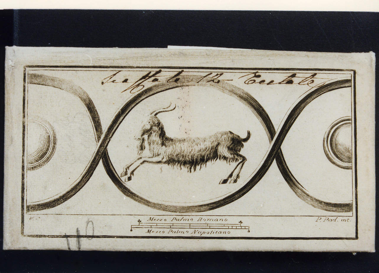 elementi decorativi con capra (stampa controfondata) di Paderni P, Campana Vincenzo (seconda metà sec. XVIII)