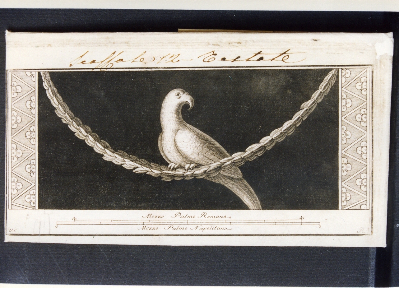 motivo decorativo con pappagallo (stampa controfondata) di Aloja Raffaele, Campana Vincenzo (seconda metà sec. XVIII)
