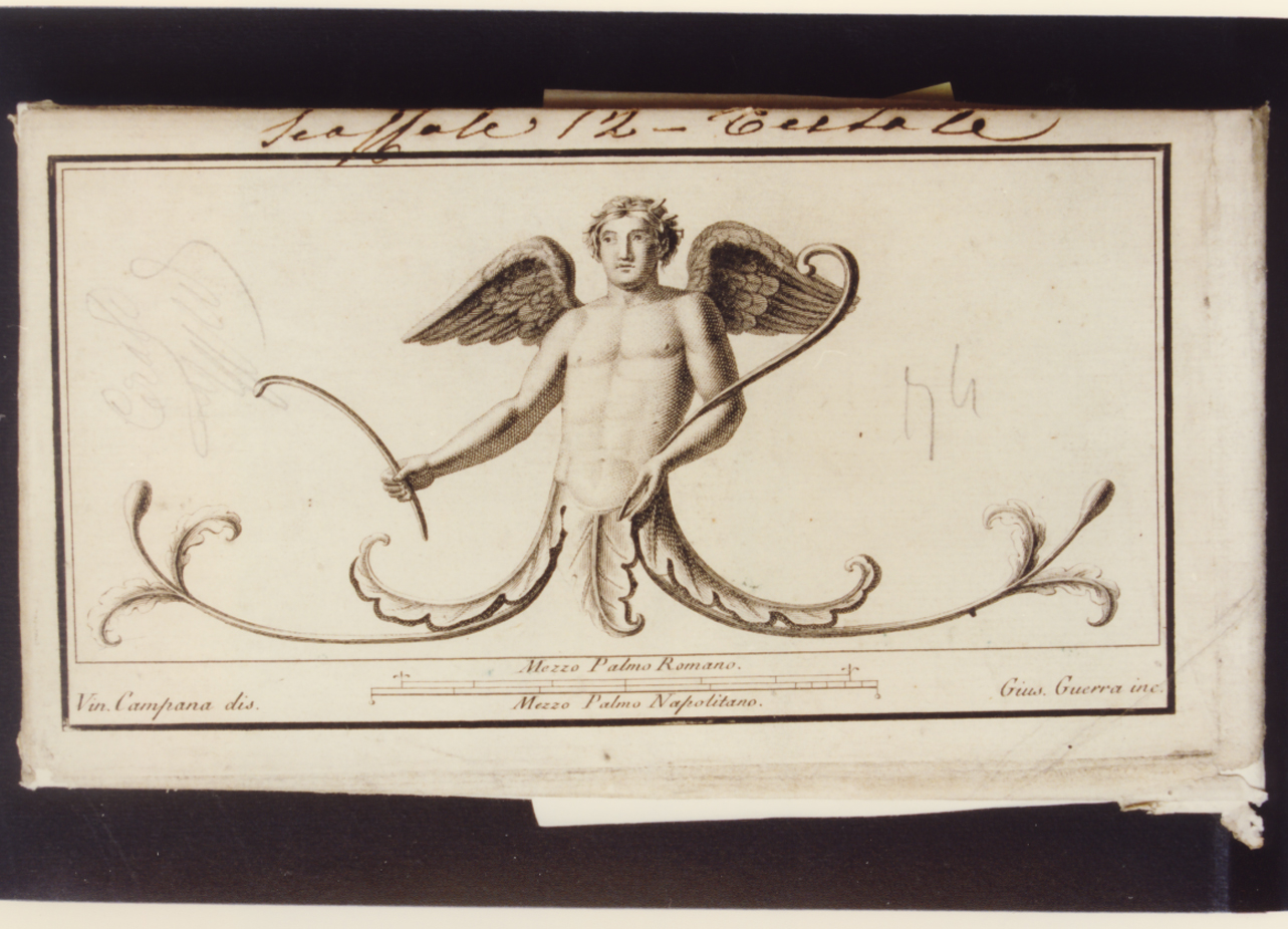 motivo decorativo con pavone e frutta (stampa controfondata) di Boily Luigi, Campana Vincenzo (seconda metà sec. XVIII)