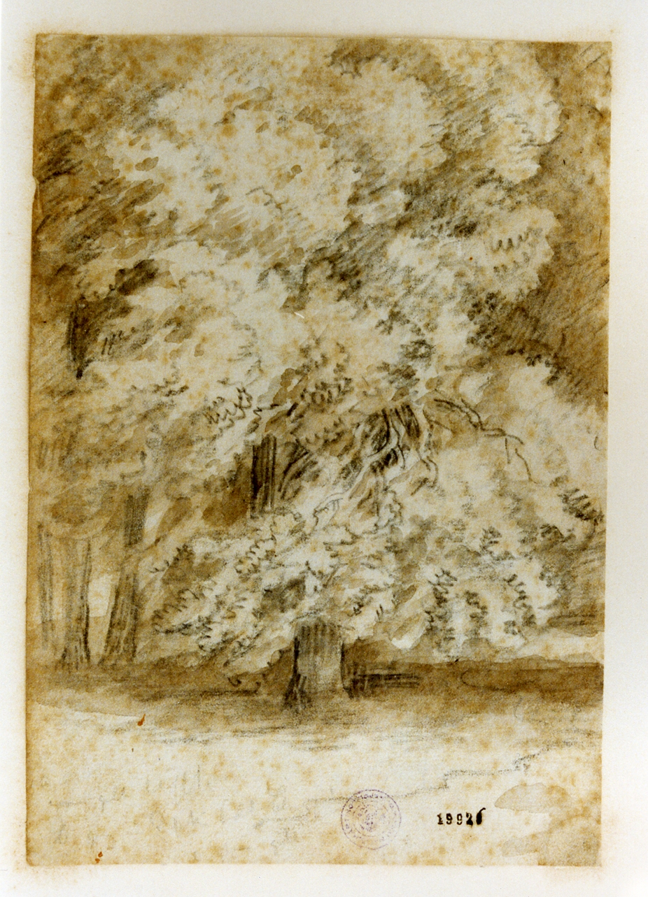 bosco di Frederiksdal (disegno) di Abildgaard Nicolai (sec. XIX)