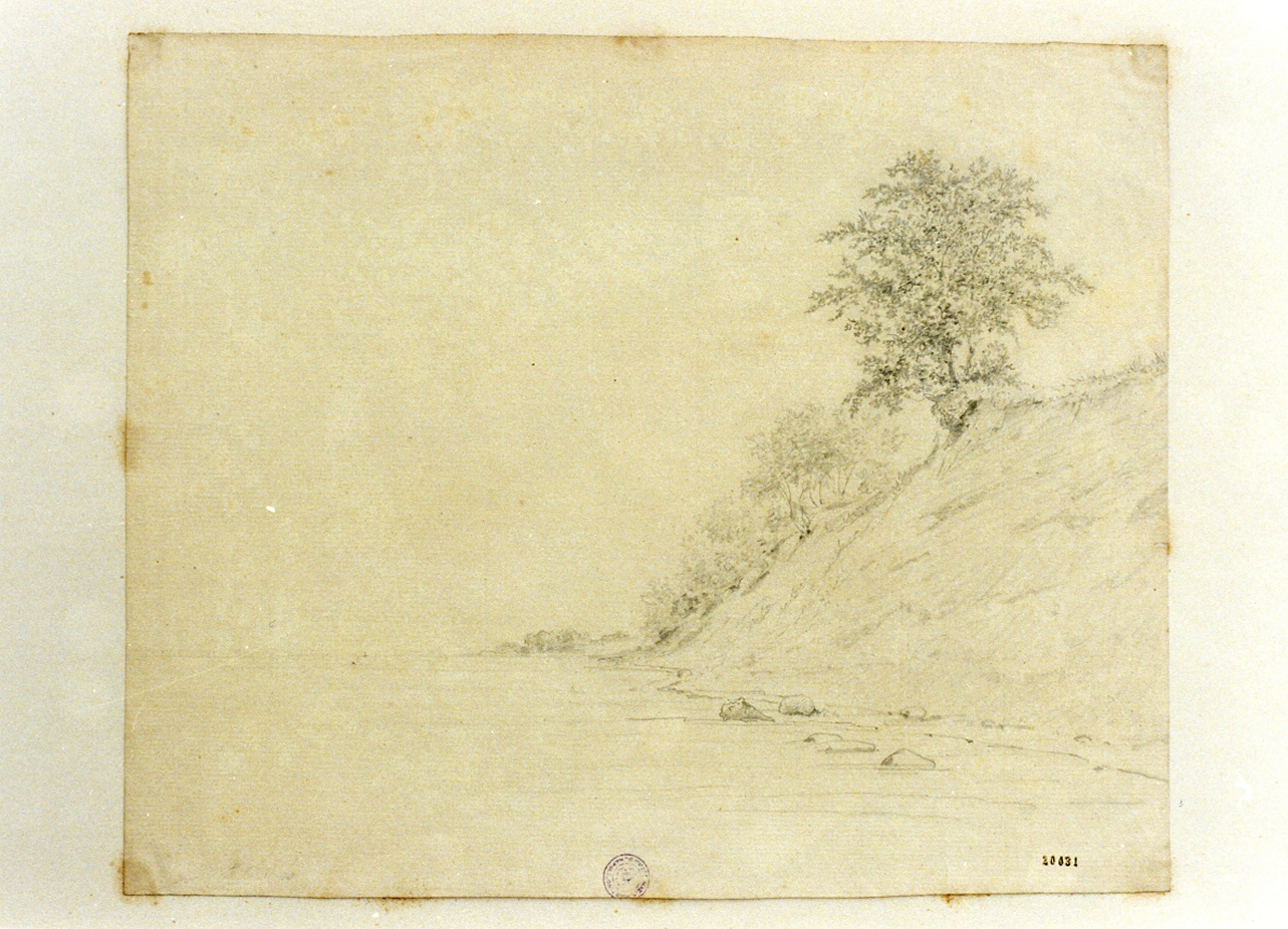 paesaggio con alberi (disegno) di Hellesen Julius (sec. XIX)