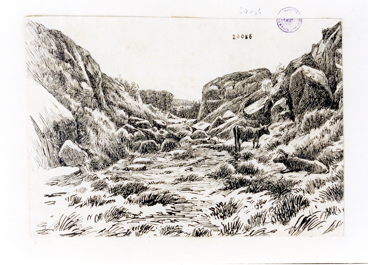 paesaggio con mucche (disegno) di Knutzen Balder (secc. XIX/ XX)
