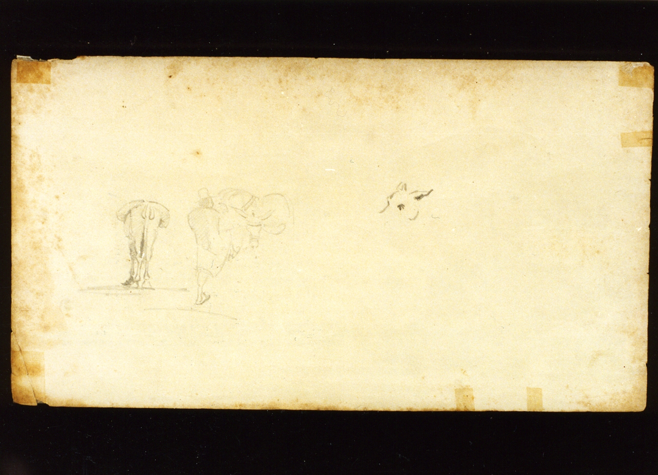 studio di animali (disegno) di Melbye Fritz Sigried Georg (sec. XIX)