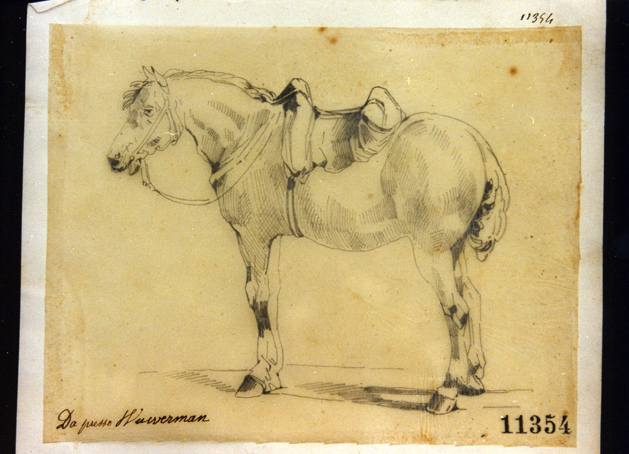 cavallo (disegno) - ambito tedesco (seconda metà sec. XIX)