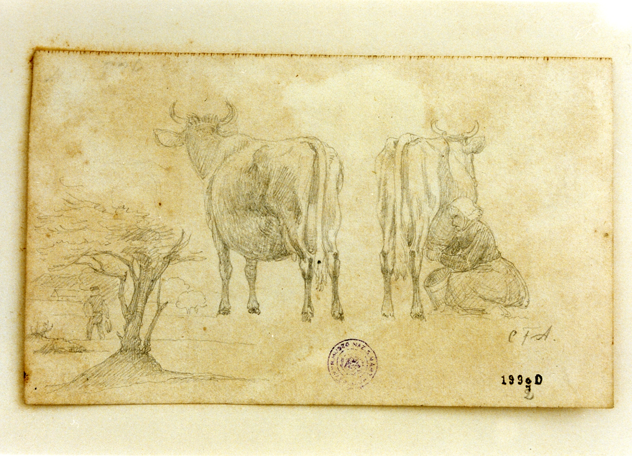 mucche e contadina che munge (disegno) di Aagaard Carl Frederik (sec. XIX)