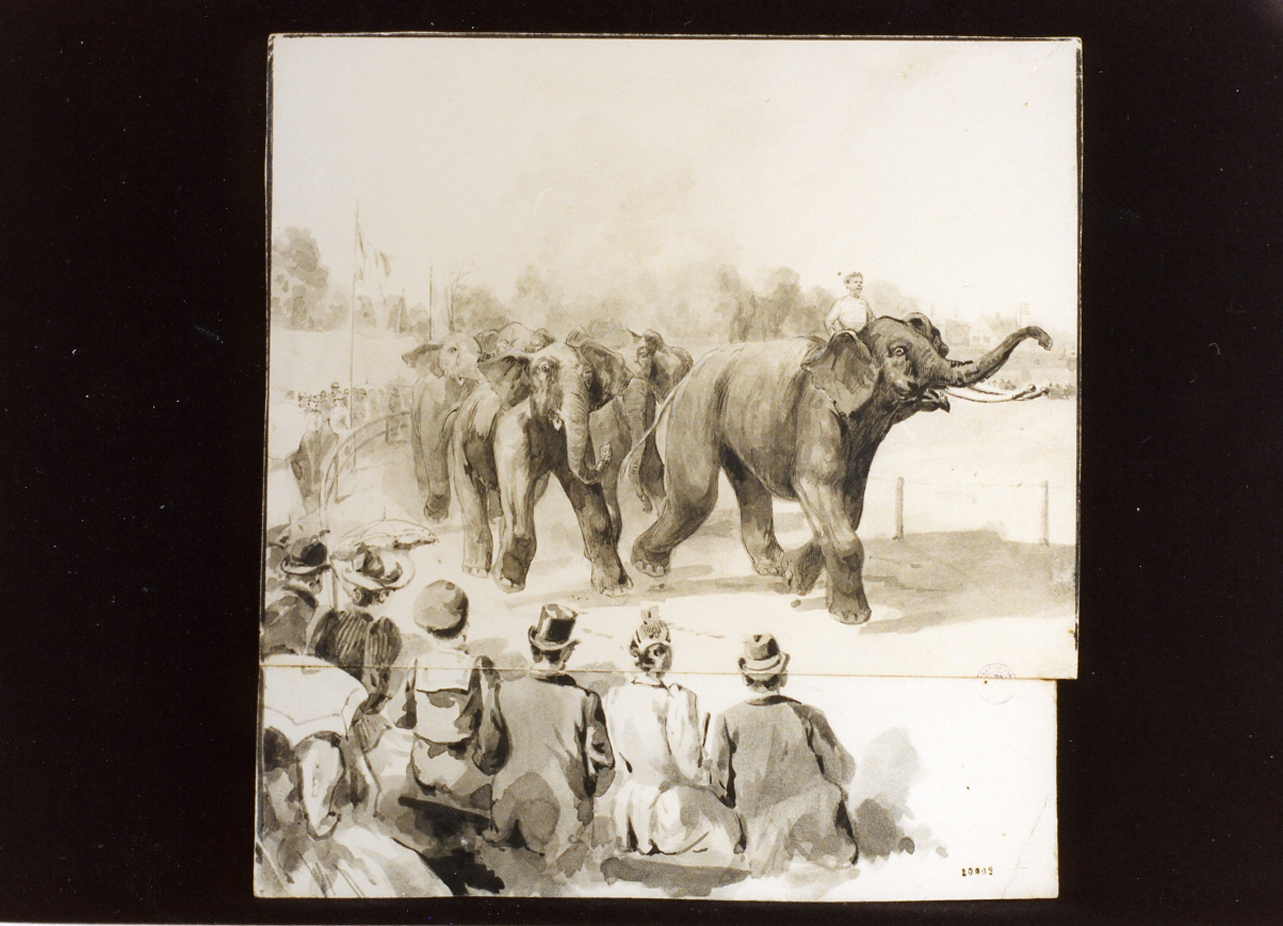 elefanti nel circo (disegno) di Gamborg Knud Frederik (secc. XIX/ XX)
