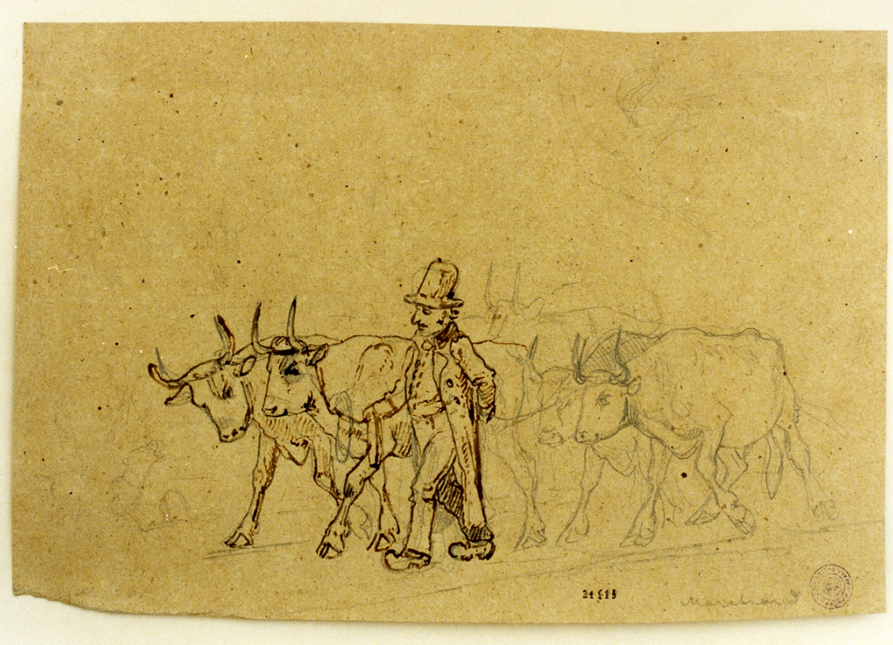 figura maschile con buoi (disegno) di Marstrand Vilhelm Nicolai (sec. XIX)
