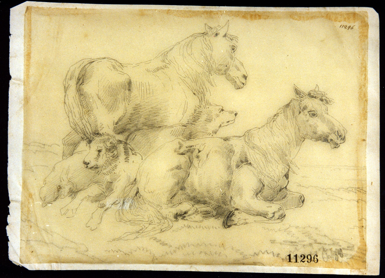 studio di cavalli e cani (disegno) di Palizzi Filippo (seconda metà sec. XIX)