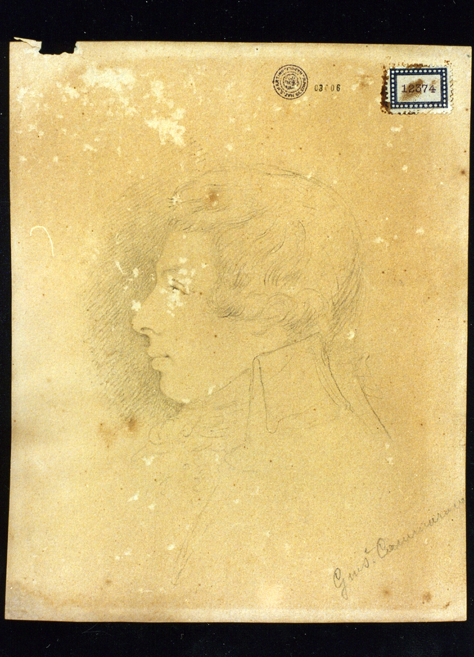ritratto maschile di profilo (disegno) di Cammarano Giuseppe (sec. XIX)
