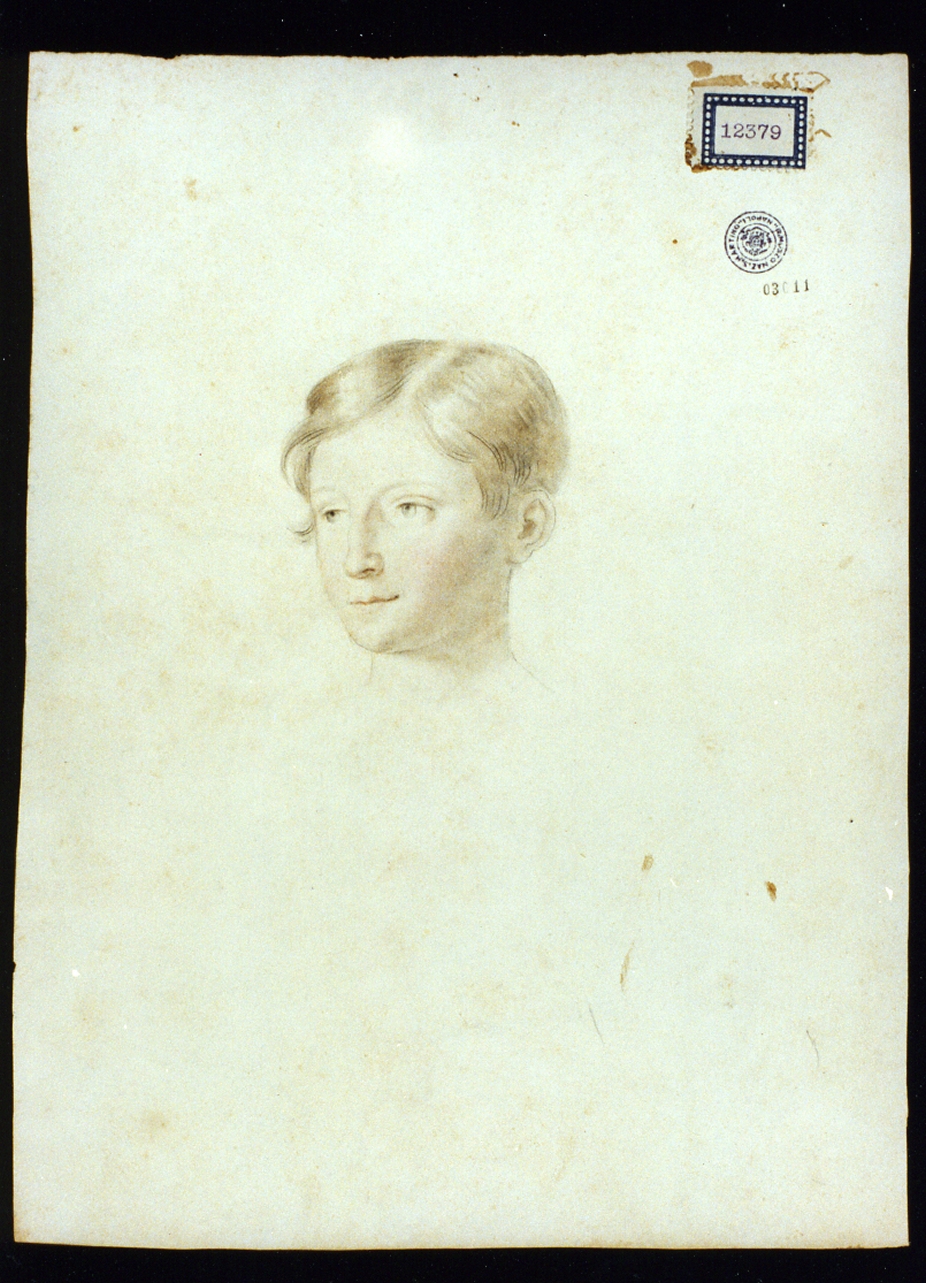 ritratto di fanciullo (disegno) di Cammarano Giuseppe (sec. XIX)