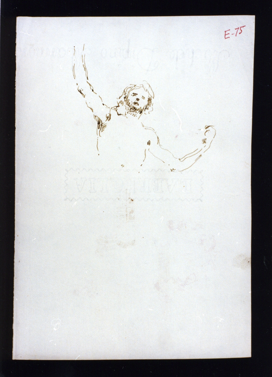 mezzo busto di figura maschile nuda (disegno) di Vetri Paolo (sec. XIX)