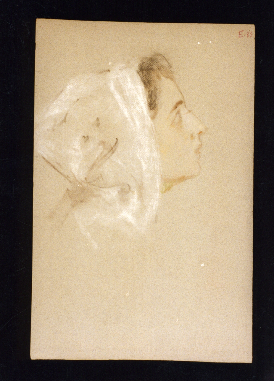 testa di giovane donna di profilo (disegno) di Vetri Paolo (sec. XIX)
