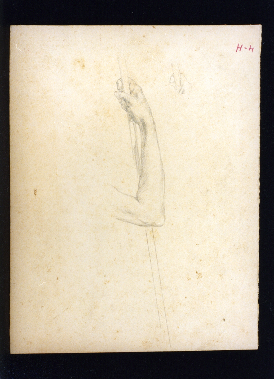 studio di braccio (disegno) di Vetri Paolo (sec. XIX)