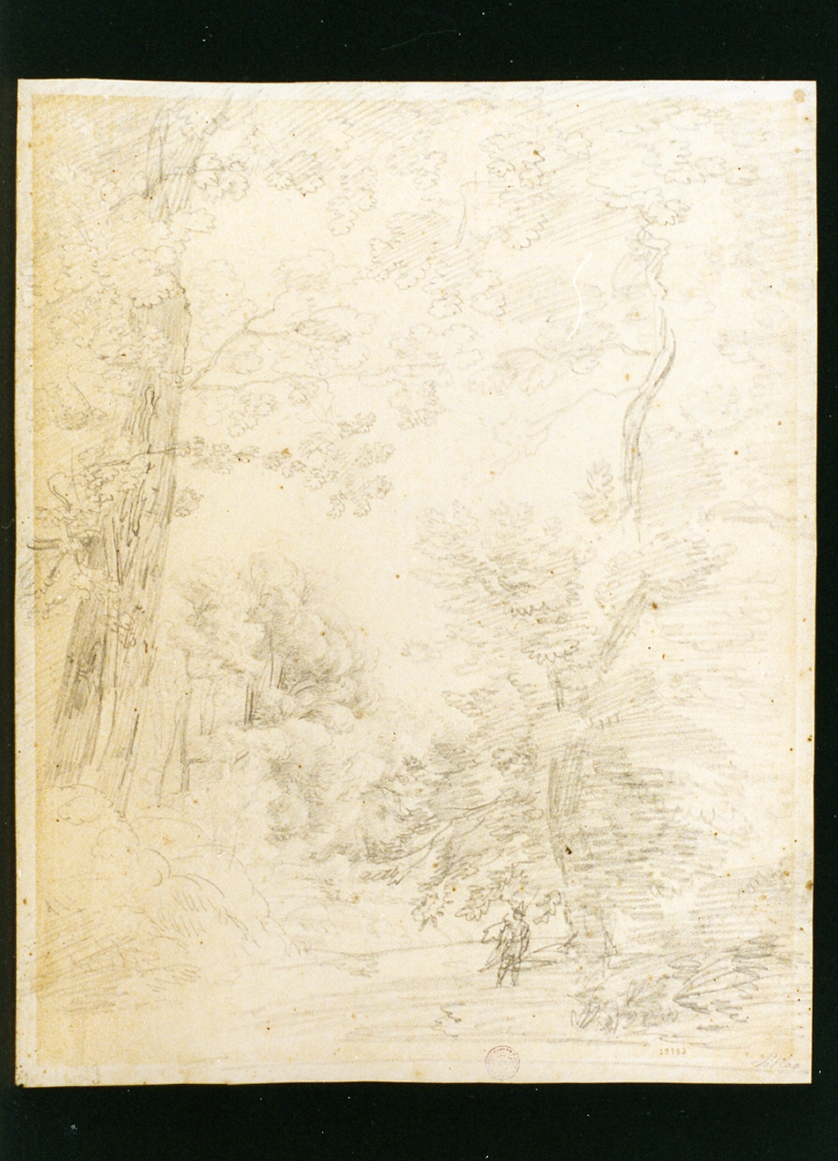 studio di bosco (disegno) di Pitloo Anton Sminck (sec. XIX)