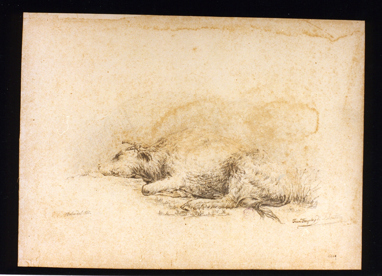 animali (disegno) di Fergola Francesco (sec. XIX)