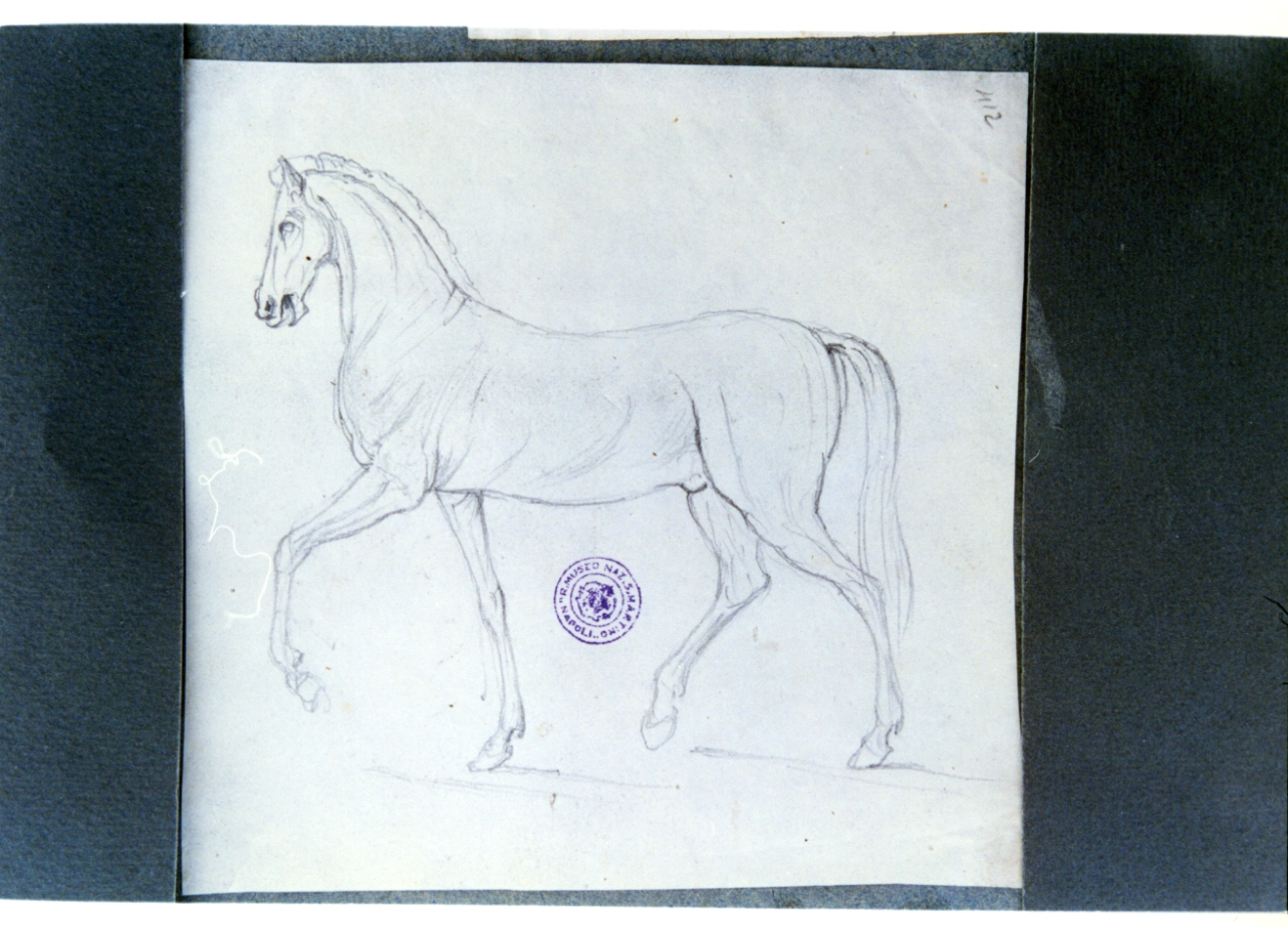 cavallo (disegno) di Vervloet Frans (prima metà sec. XIX)