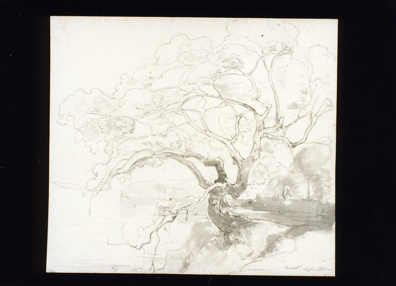 paesaggio (disegno) di Gigante Giacinto (sec. XIX)