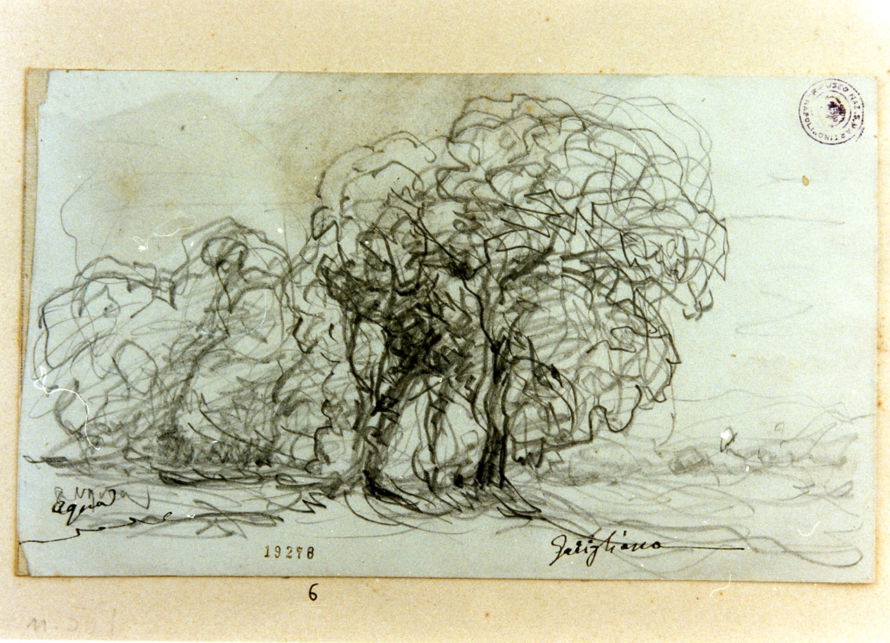 paesaggio (disegno) di Cammarano Michele (metà sec. XIX)