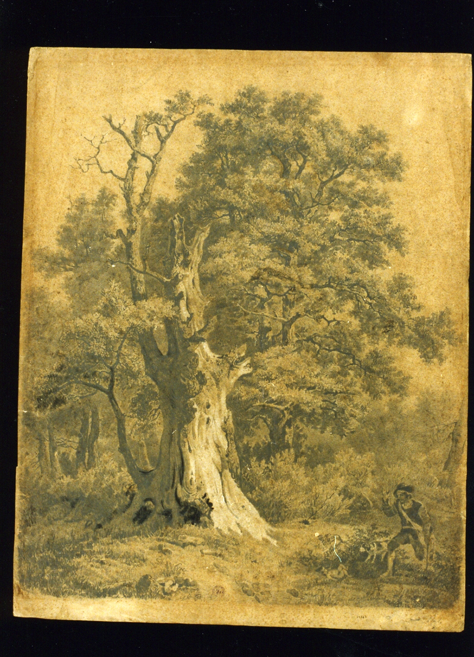 veduta di un bosco e cacciatore (disegno) di Fergola Salvatore (sec. XIX)