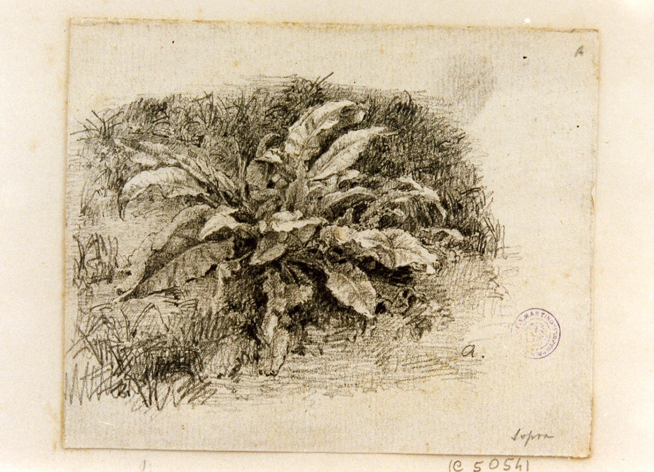 paesaggio (disegno) di Michetti Quintilio (sec. XIX)
