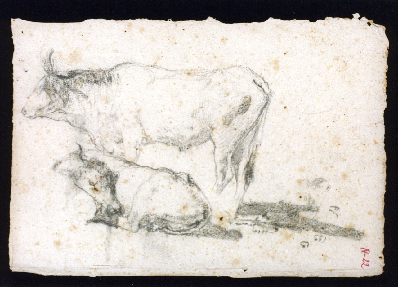 animali (disegno) di Vetri Paolo (sec. XIX)
