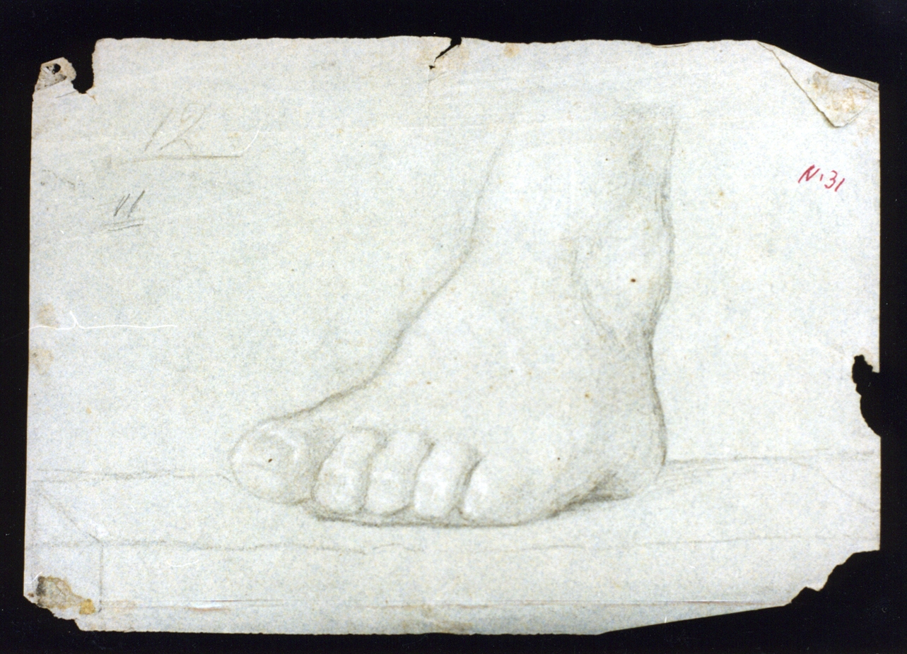 piede (disegno) di Vetri Paolo (sec. XIX)