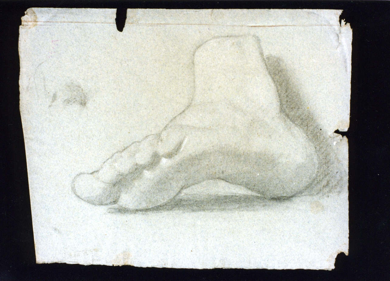 piede (disegno) di Vetri Paolo (sec. XIX)