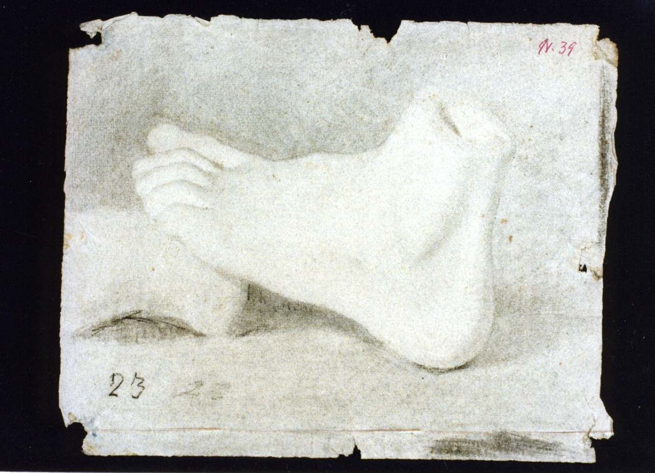 piede (disegno) di Vetri Paolo (sec. XIX)
