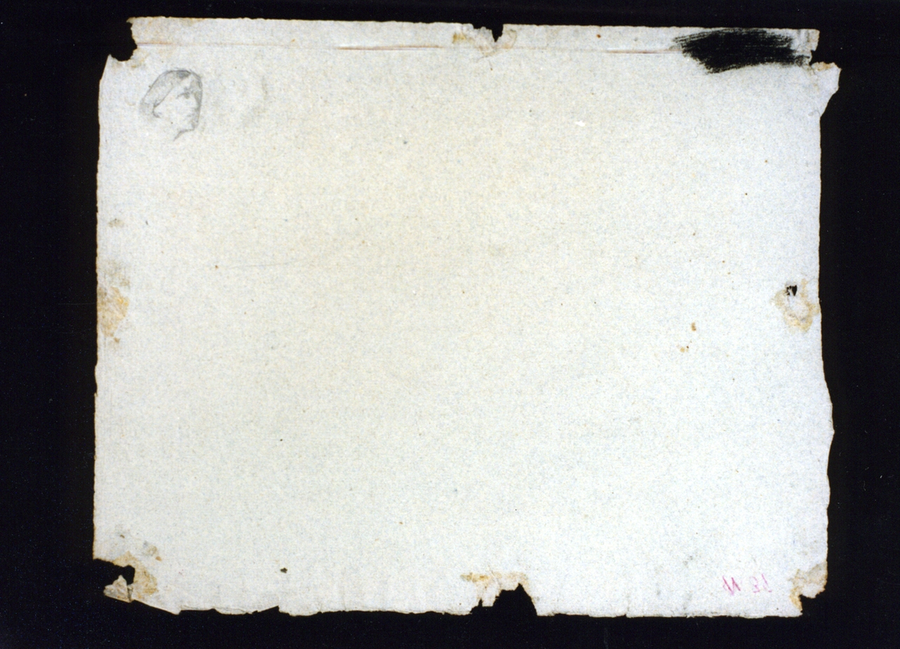 testa di donna (disegno) di Vetri Paolo (sec. XIX)