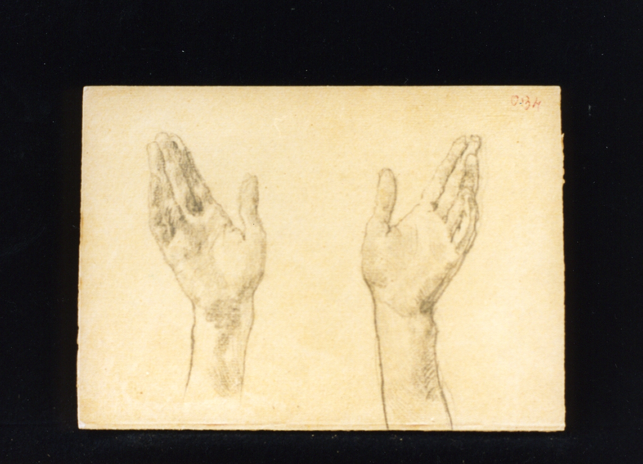 mani (disegno) di Vetri Paolo (secc. XIX/ XX)