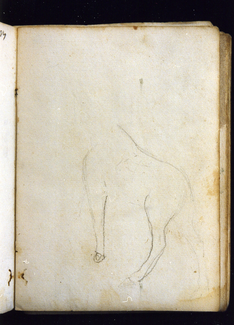 studio di schizzo di busto di cavallo (disegno) di Postiglione Raffaele (sec. XIX)