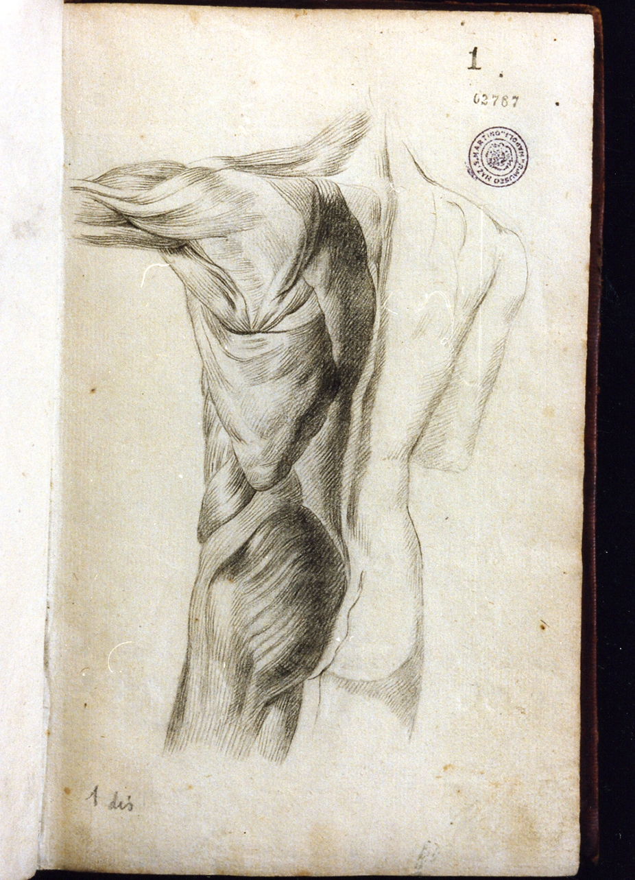 figura maschile (disegno) di Cammarano Giuseppe (sec. XVIII)