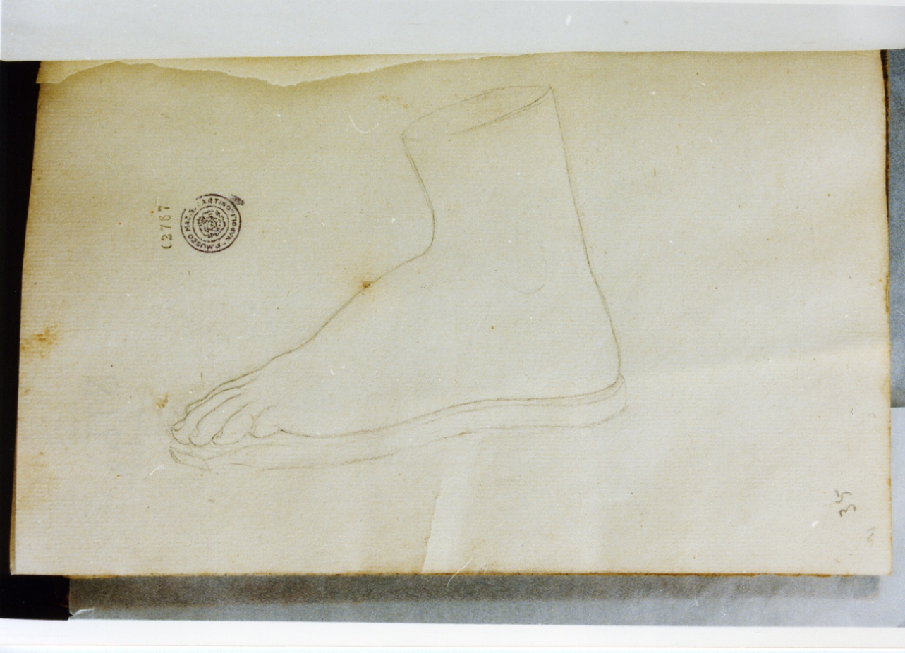 studio anatomico (disegno) di Cammarano Giuseppe (sec. XVIII)