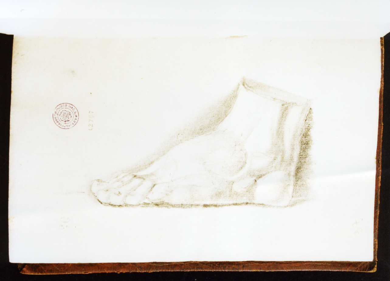 studio anatomico (disegno) di Cammarano Giuseppe (sec. XVIII)