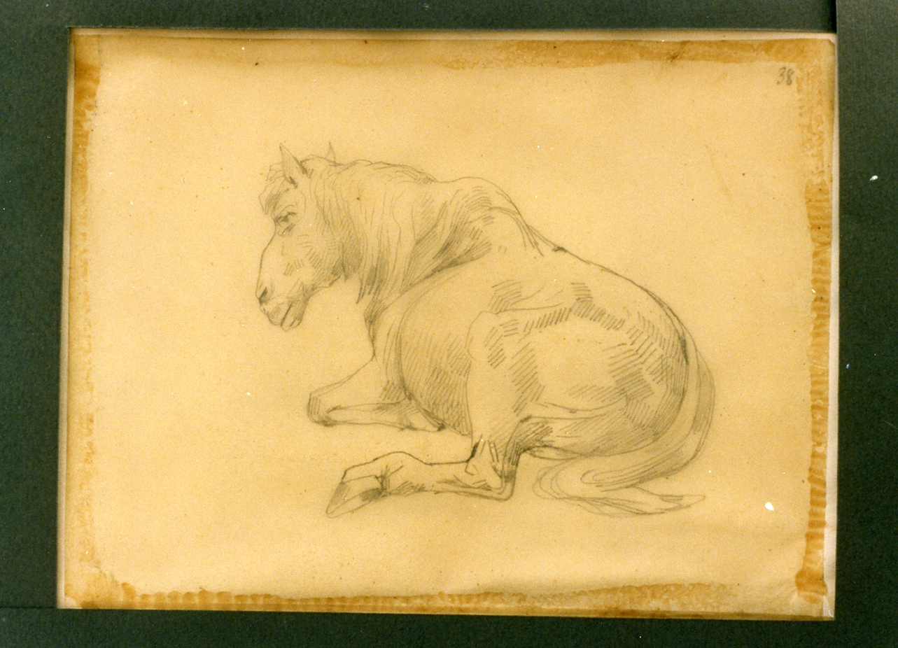 cavallo (disegno) di Carelli Consalvo (sec. XIX)