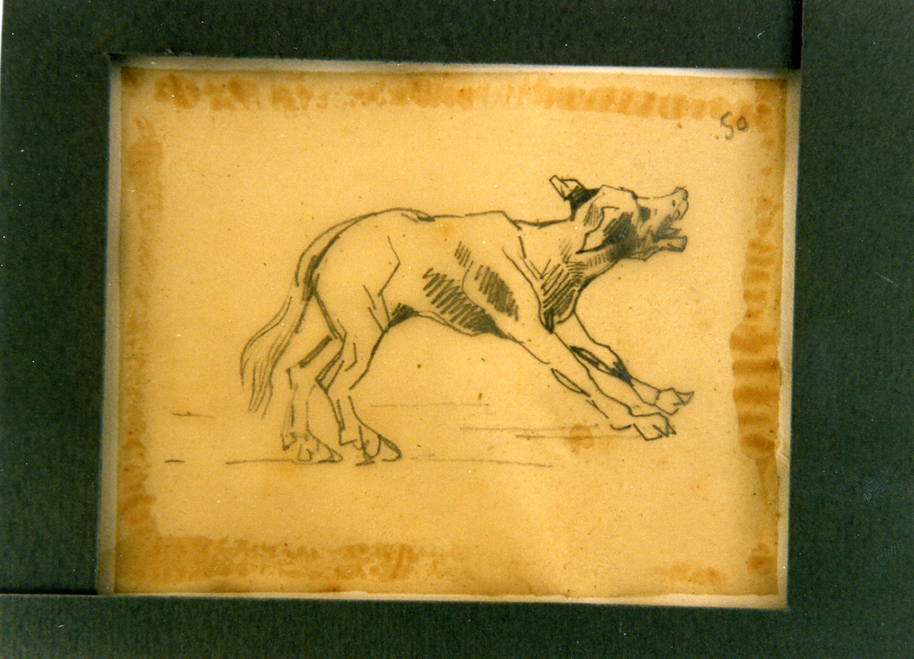 cane (disegno) di Carelli Consalvo (sec. XIX)