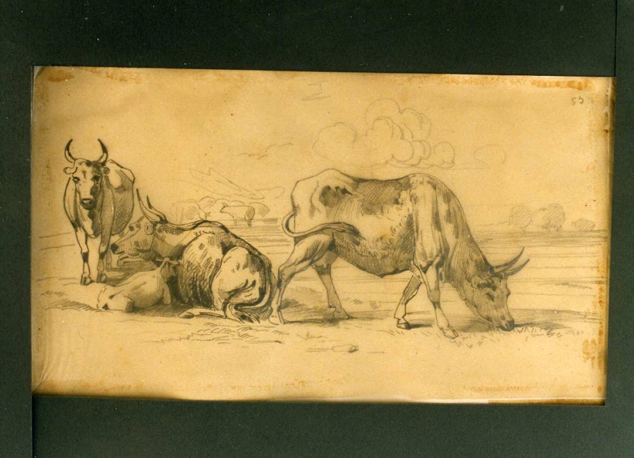 paesaggio con animali (disegno) di Carelli Consalvo (sec. XIX)