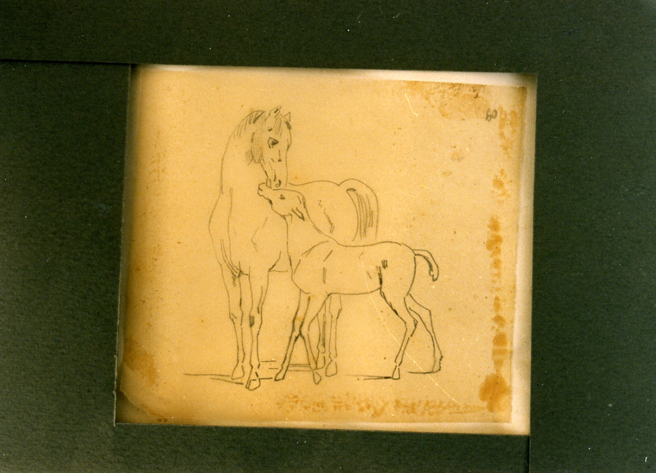 studio di cavalla col suo puledro (disegno) di Carelli Consalvo (sec. XIX)
