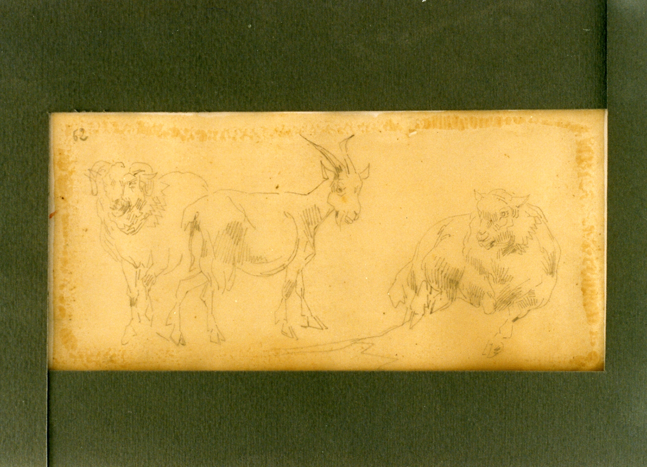 paesaggio con animali (disegno) di Carelli Consalvo (sec. XIX)