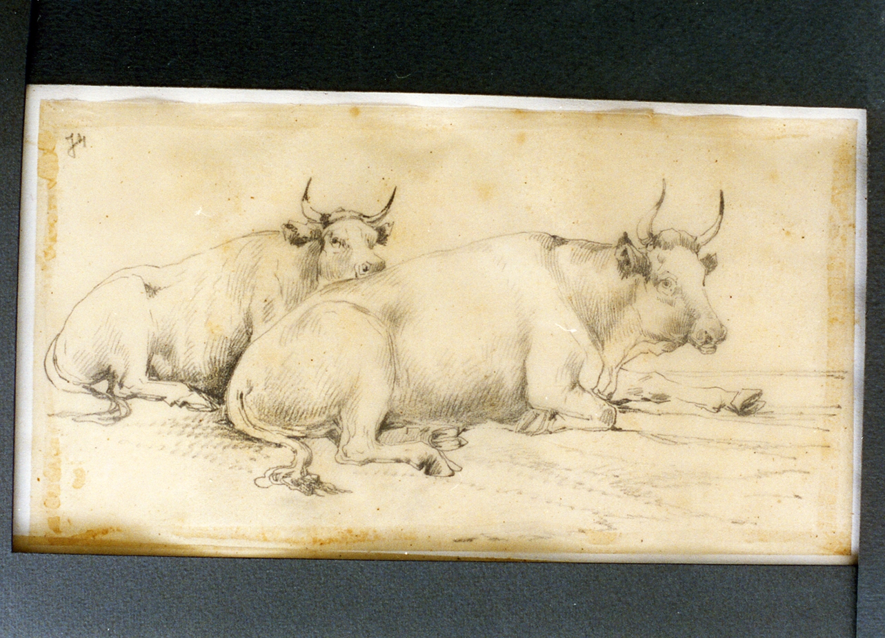 paesaggio con animali (disegno) di Carelli Consalvo (sec. XIX)