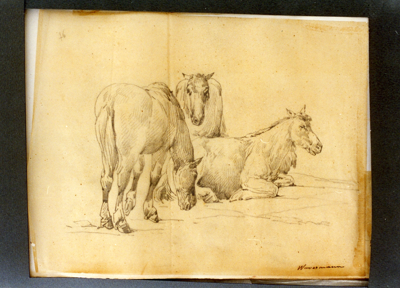 paesaggio con animali (disegno) di Carelli Consalvo (sec. XIX)