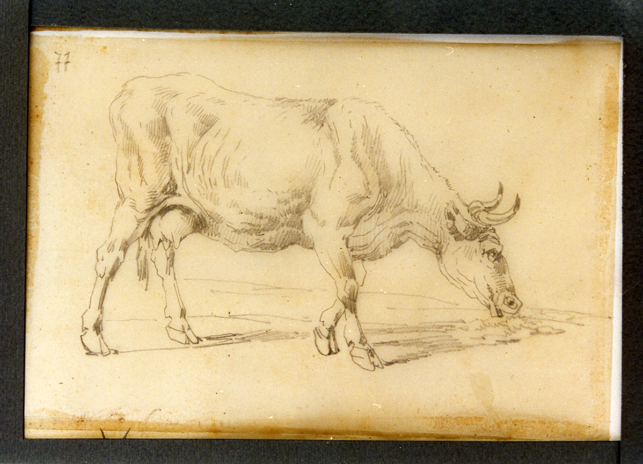 paesaggio con animali (disegno) di Carelli Consalvo (sec. XIX)