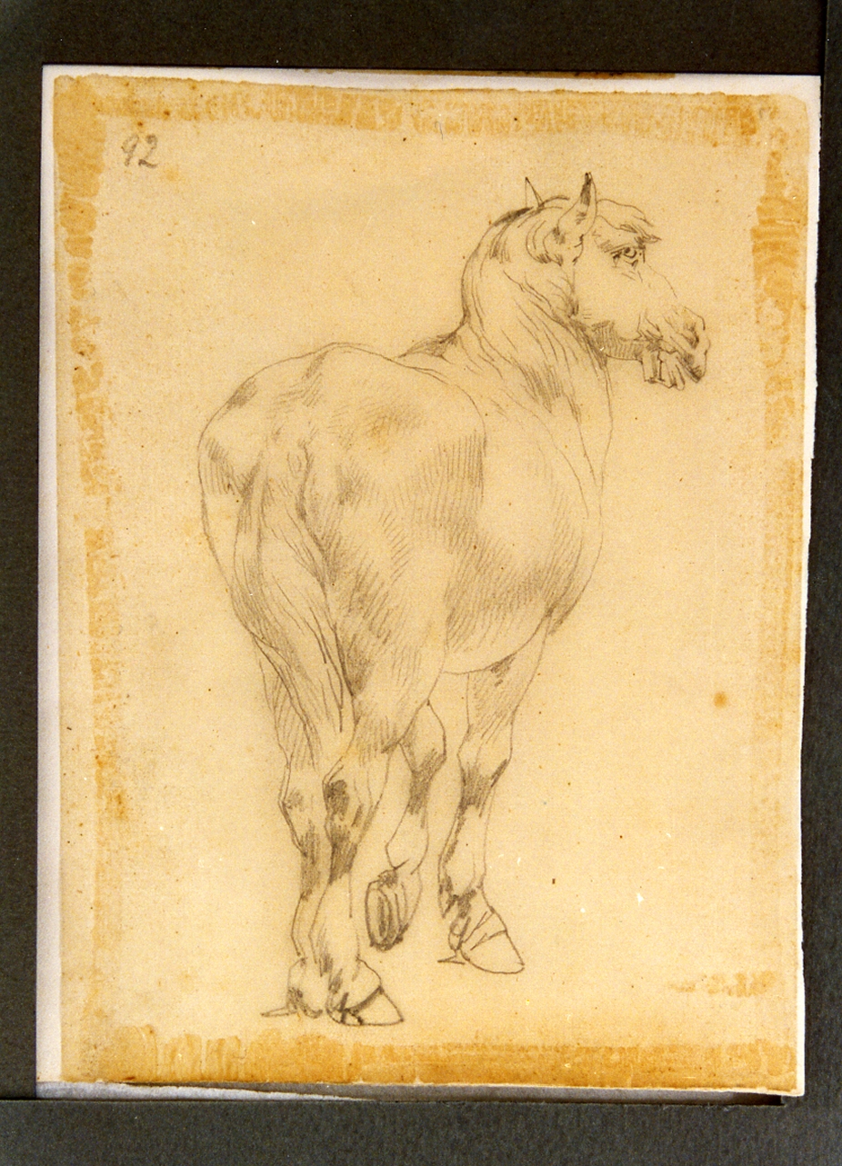 cavallo (disegno) di Carelli Consalvo (sec. XIX)