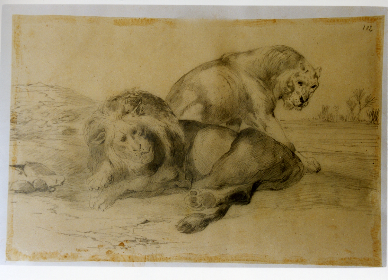 paesaggio con animali (disegno) di Carelli Consalvo (sec. XIX)