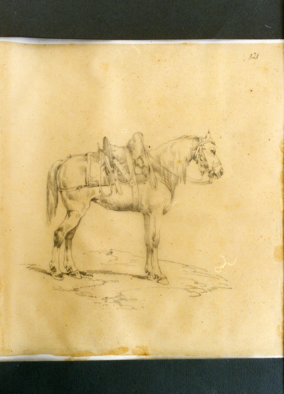 cavallo (disegno) di Carelli Consalvo (sec. XIX)