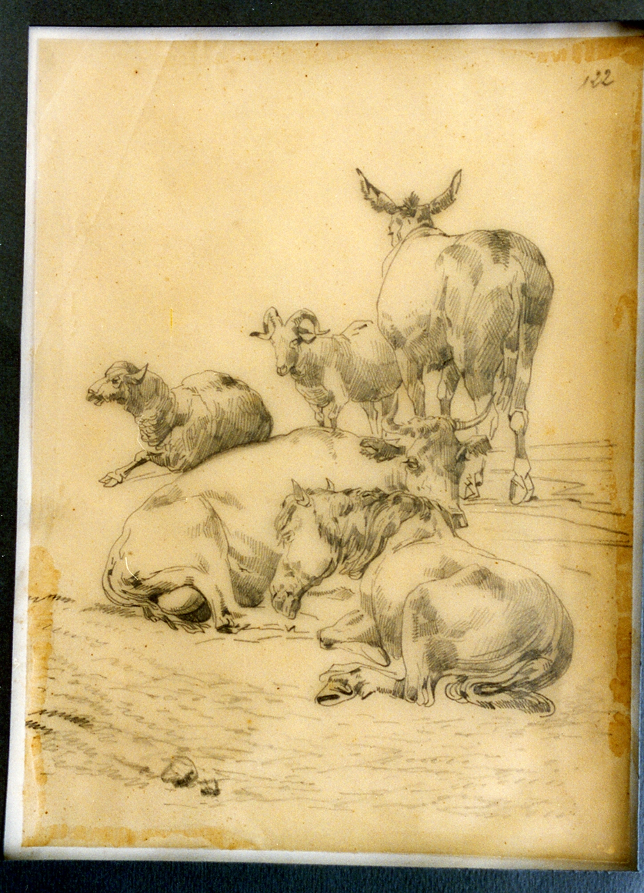paesaggio con animali (disegno) di Carelli Consalvo (sec. XIX)