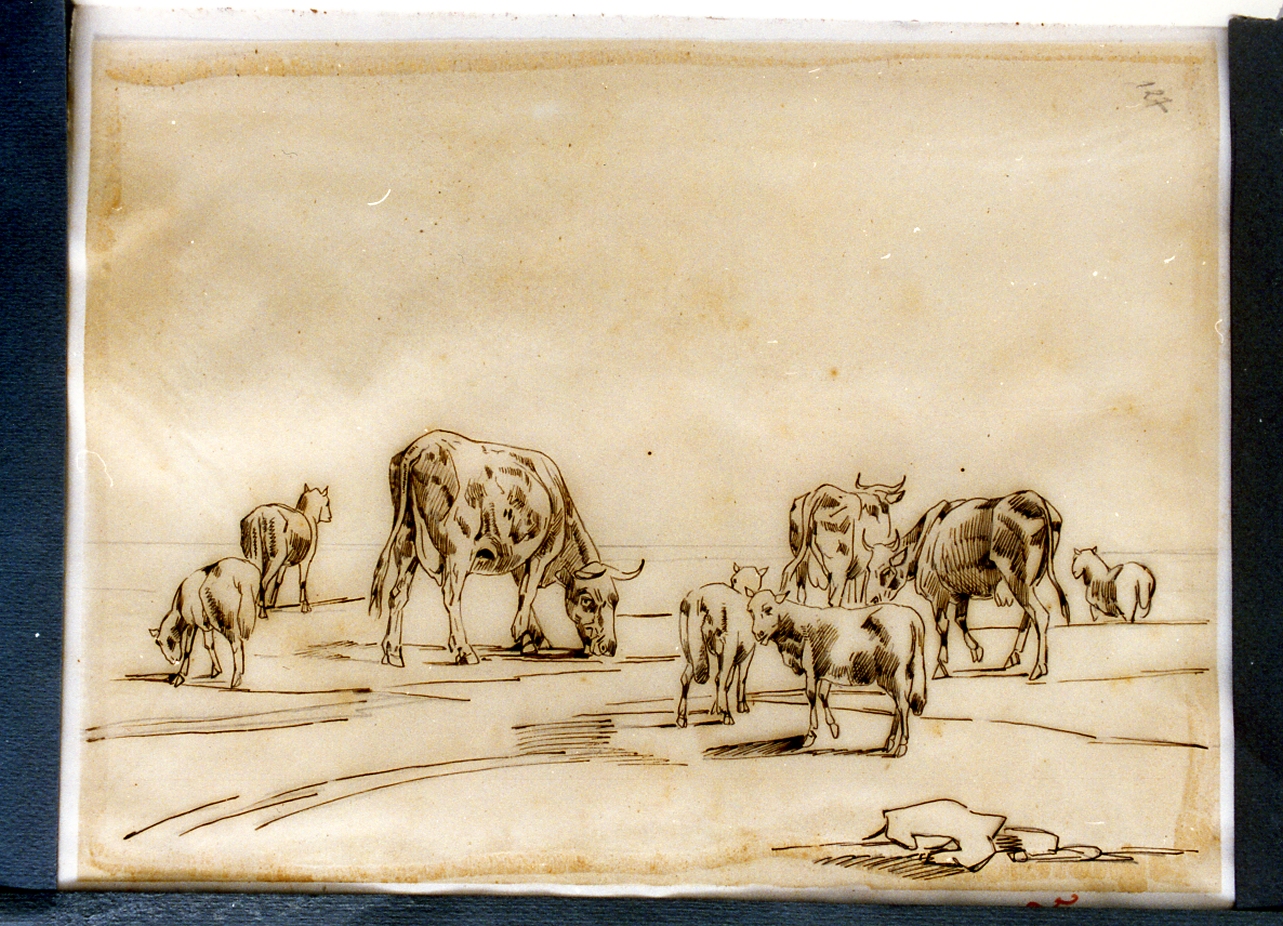 scena campestre (disegno) di Carelli Consalvo (sec. XIX)