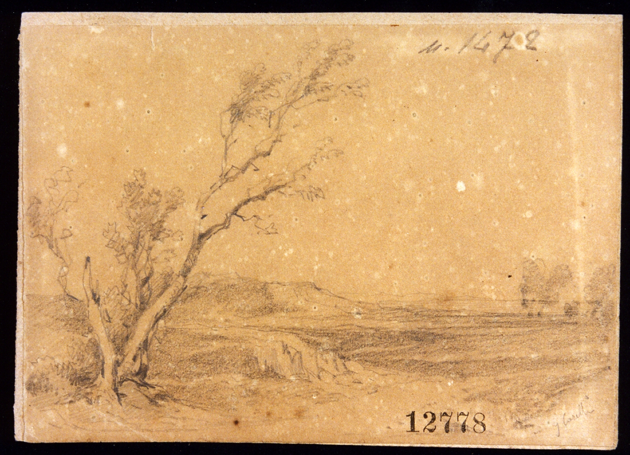 paesaggio campestre (disegno) di Carelli Consalvo (metà sec. XIX)